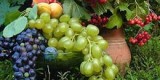 Новое измерение
