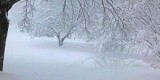 Счастье - это снегопад